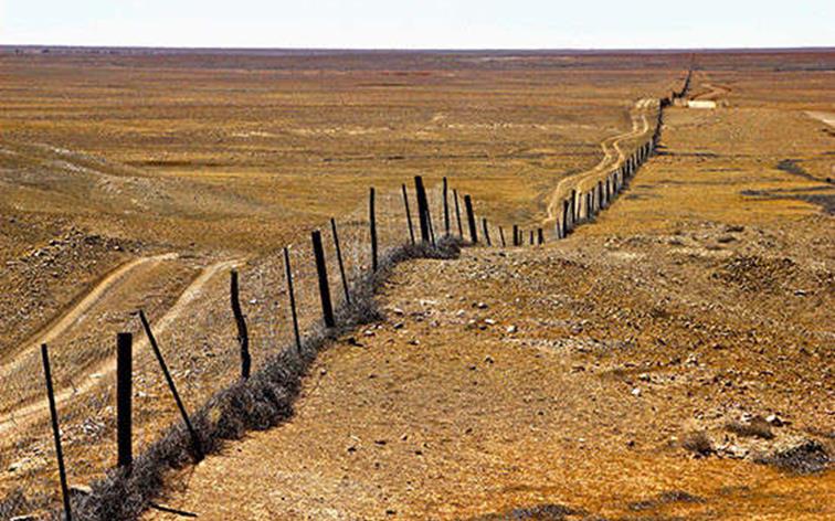 BIG4-Stuart-Range-Outback-Resort-Coober-Pedy-Big-4-worlds-longest-fencedingo-fence